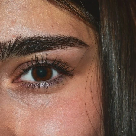 Evi
